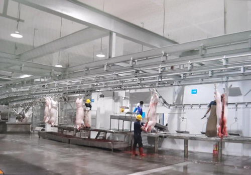 民生實事喜結碩果 區肉聯廠遷建項目一期工程竣工驗收并投入運營